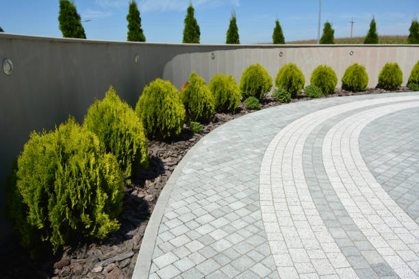 Best Local Driveway Pavers  in Deerfield Beach, FL